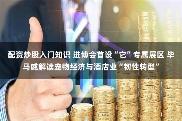 配资炒股入门知识 进博会首设“它”专属展区 毕马威解读宠物经济与酒店业“韧性转型”