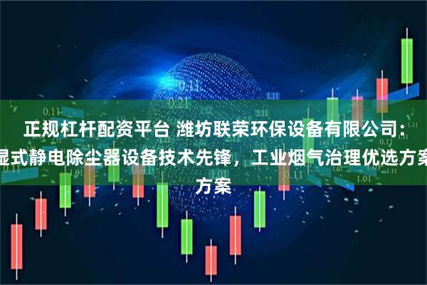 正规杠杆配资平台 潍坊联荣环保设备有限公司：湿式静电除尘器设备技术先锋，工业烟气治理优选方案